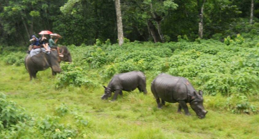 Chitwan National Park