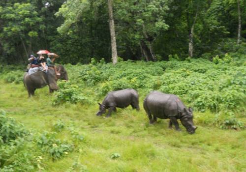 Chitwan National Park